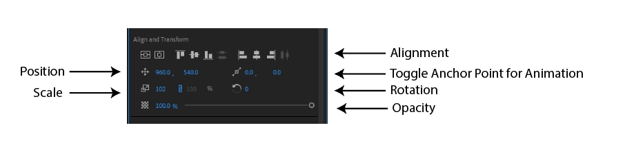 How to Edit Text in Adobe Premiere Pro 32