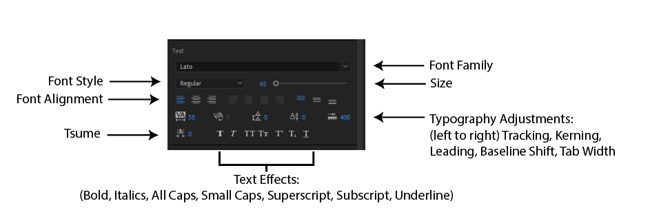 How to Edit Text in Adobe Premiere Pro 8