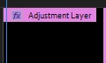 How to Add an Adjustment Layer in Adobe Premiere Pro 12