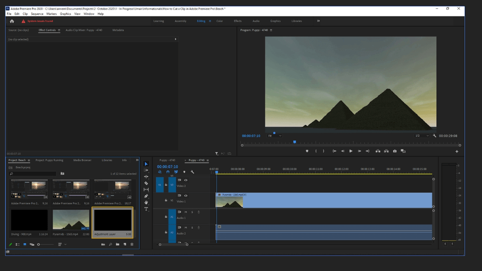 How to Add an Adjustment Layer in Adobe Premiere Pro 3