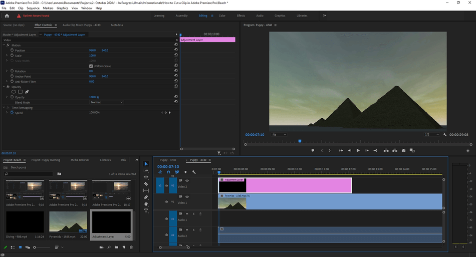 How to Add an Adjustment Layer in Adobe Premiere Pro 5