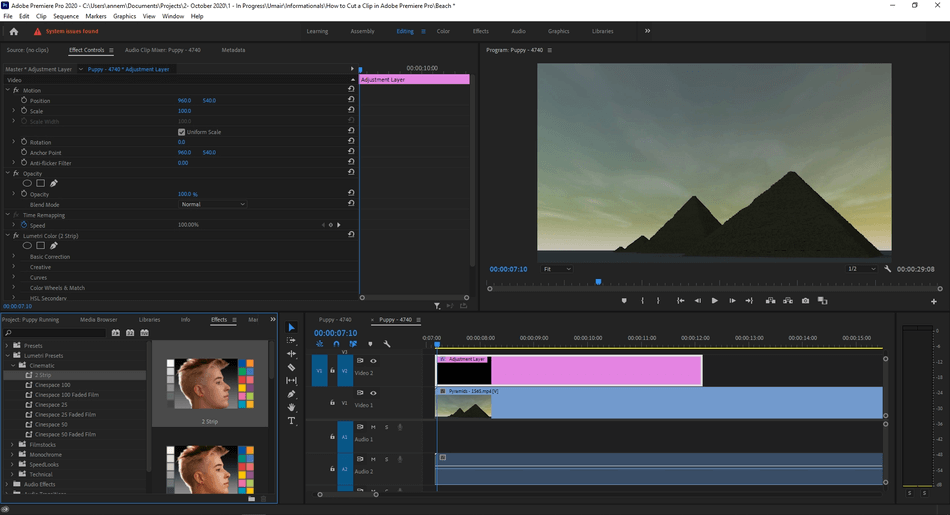 How to Add an Adjustment Layer in Adobe Premiere Pro 8