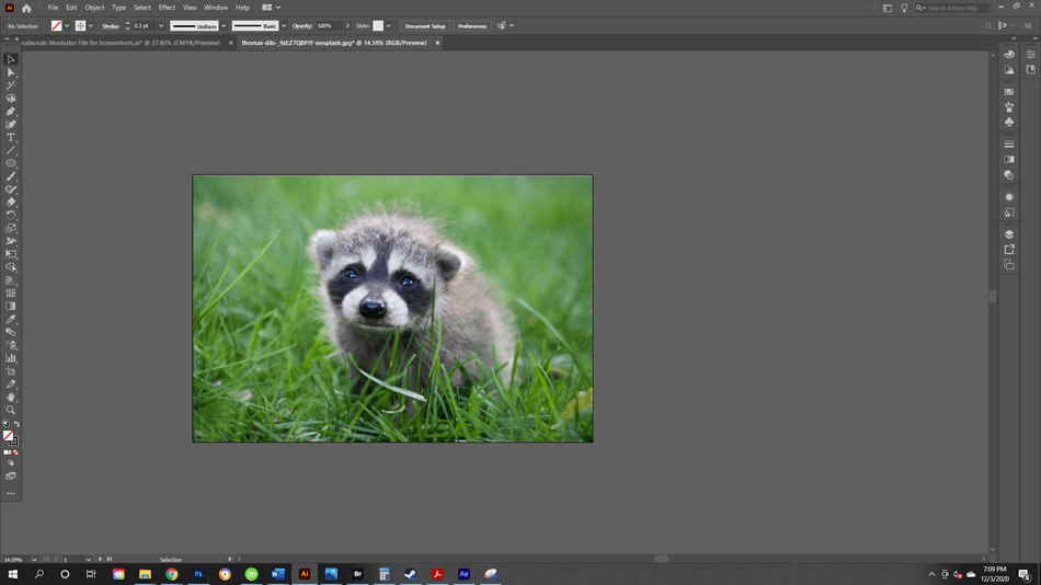 How to Crop an Image in Illustrator 11