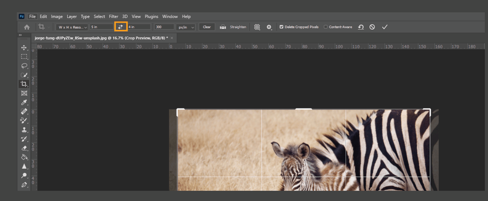 How to Crop in Photoshop 11