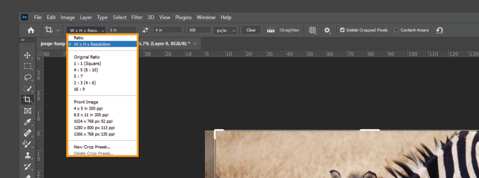 How to Crop in Photoshop 9
