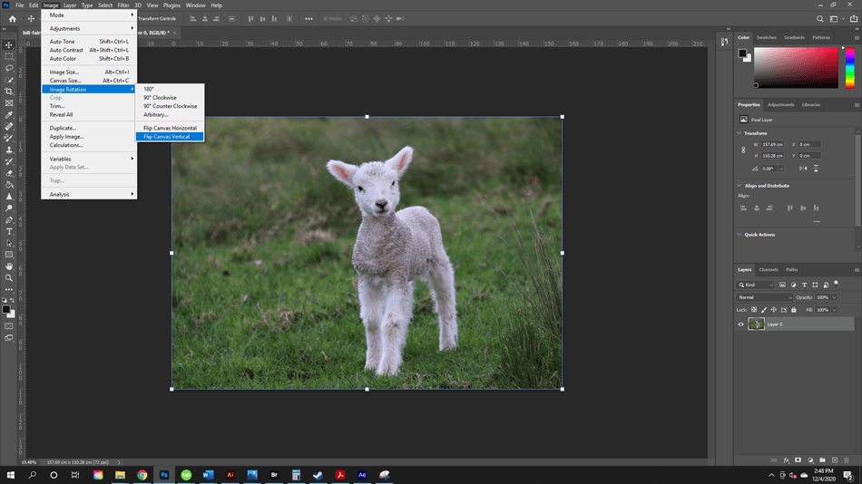 How to Flip an Image in Photoshop 1