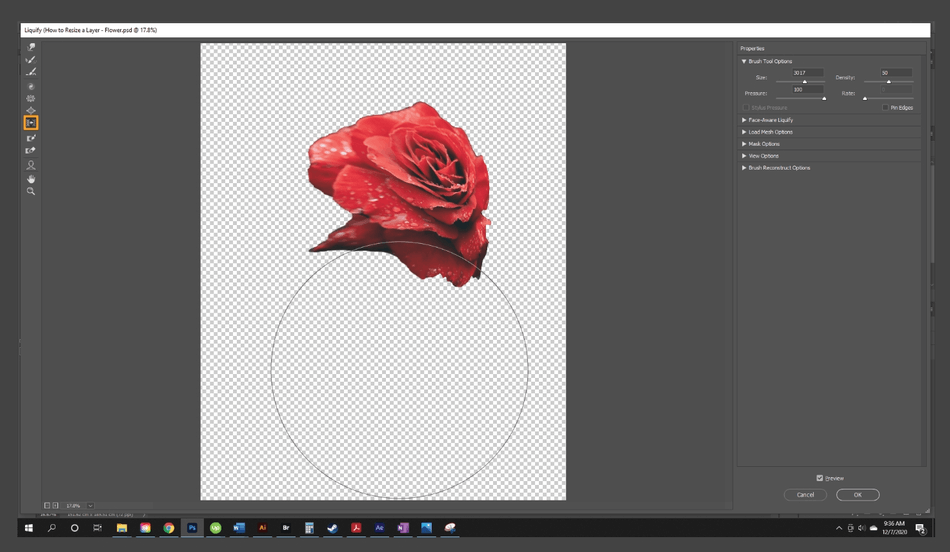 How to Resize a Layer in Photoshop 20