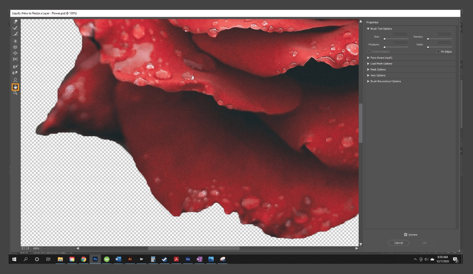 How to Resize a Layer in Photoshop 24