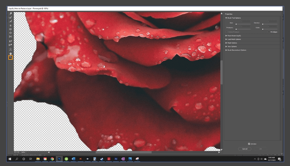 How to Resize a Layer in Photoshop 25