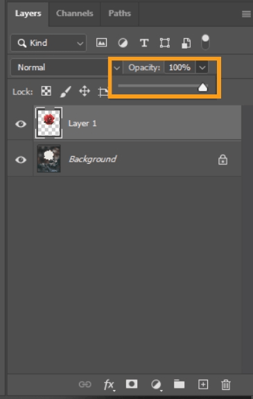 How to Resize a Layer in Photoshop 33