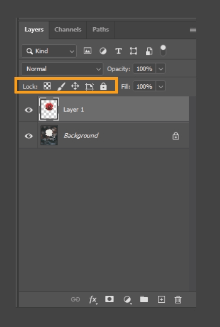 How to Resize a Layer in Photoshop 34