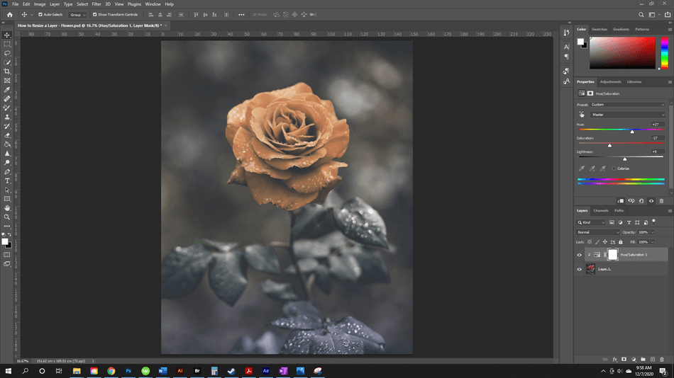 How to Resize a Layer in Photoshop 60