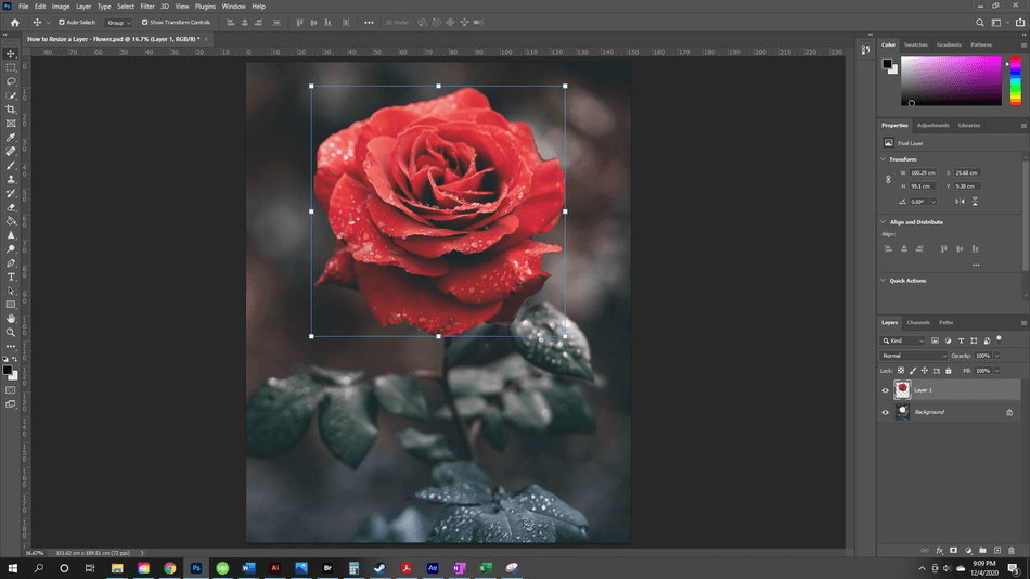 How to Resize a Layer in Photoshop 7