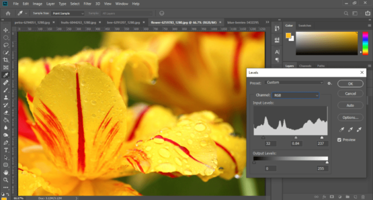 Photoshop 8 bit vs 16 bit | Which One to Pick? (2023)