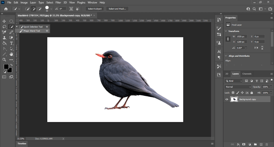 PhotoshopWhiteBG04