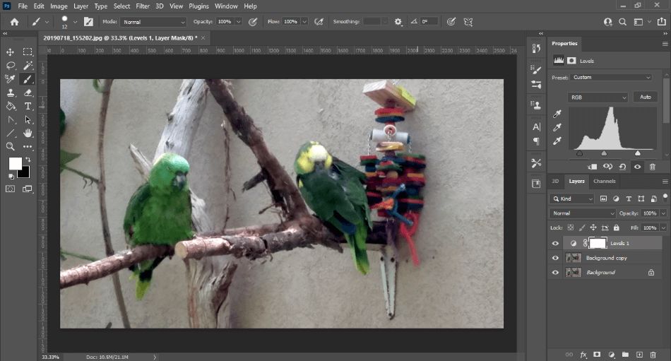 Adobe Photoshop Photo Editing