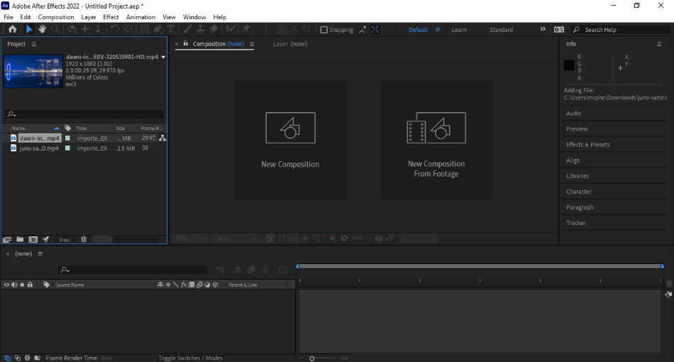 After Effects Interface With Clips Added To Library