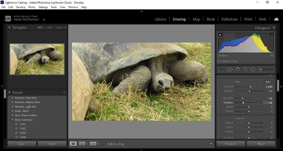 Lightroom Classic Develop Workspace Editing Photo of a Turtle