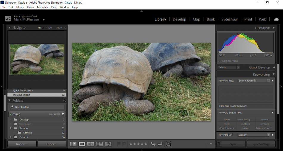 Lightroom Classic Library View of Photo of Two Turtles