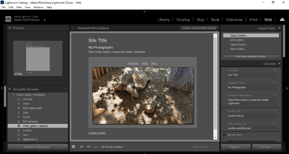 Lightroom Classic Web Workspace For Picture of Two Turtles