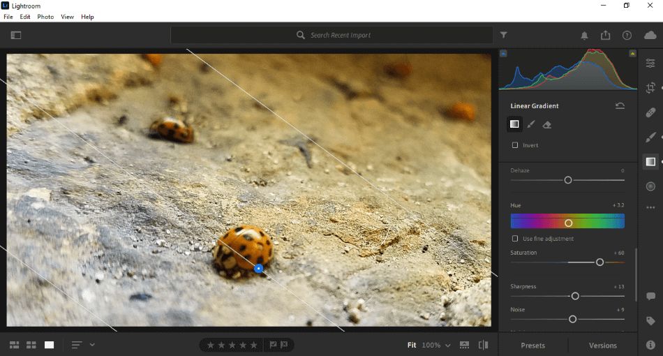 Lightroom Gradient Color Over Photo of Ladybug