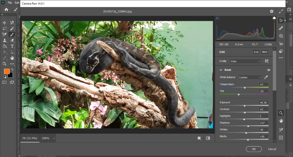 Photoshop Camera Raw Filter Tool Used On Snake Image