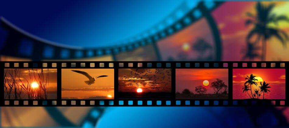 filmstrip of animals