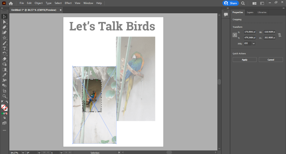 Illustrator cropping an image of a parrot