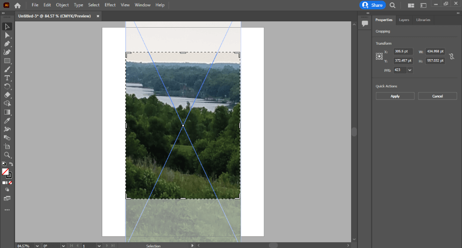Illustrator tools for cropping a landscape photo