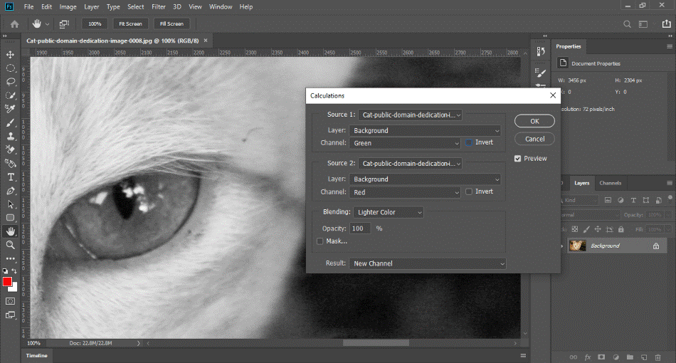 photoshop animal eye