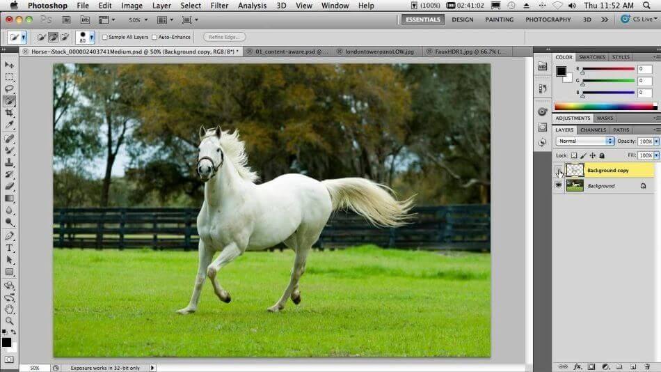 photoshop elements horse