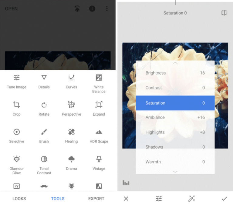 Snapseed vs Lightroom HeadtoHead Comparison (2023)