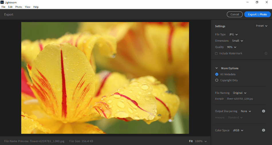 Lightroom exporting screen of flower