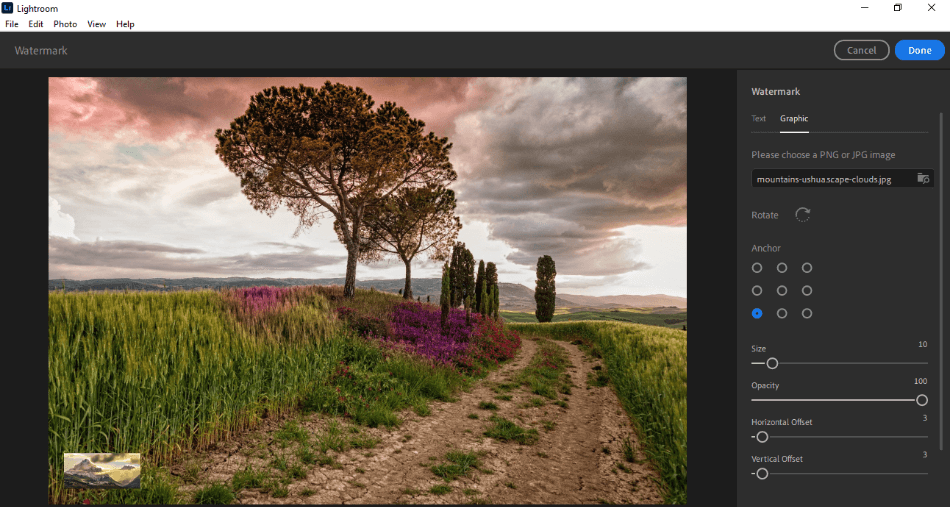Lightroom export settings for tree with watermark of mountains