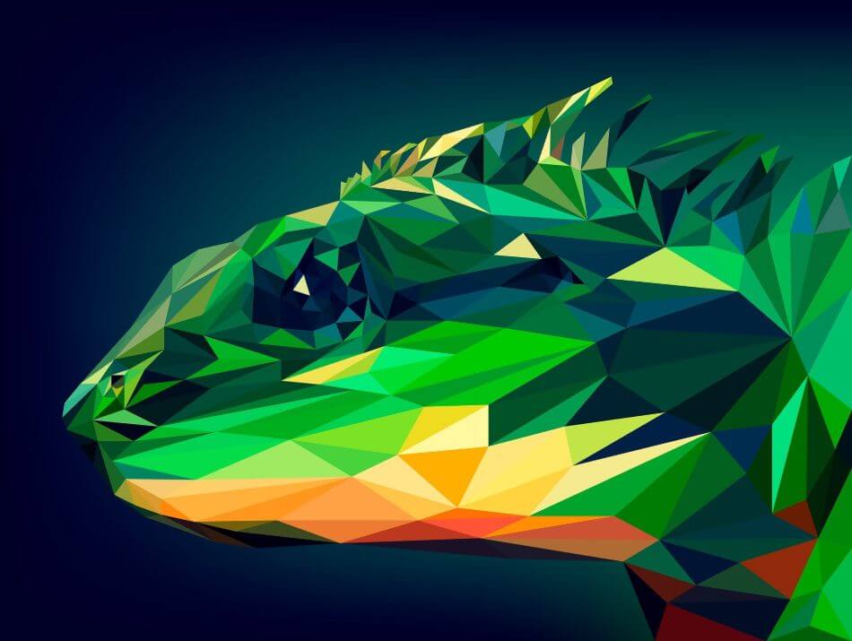 vector art of iguana 1