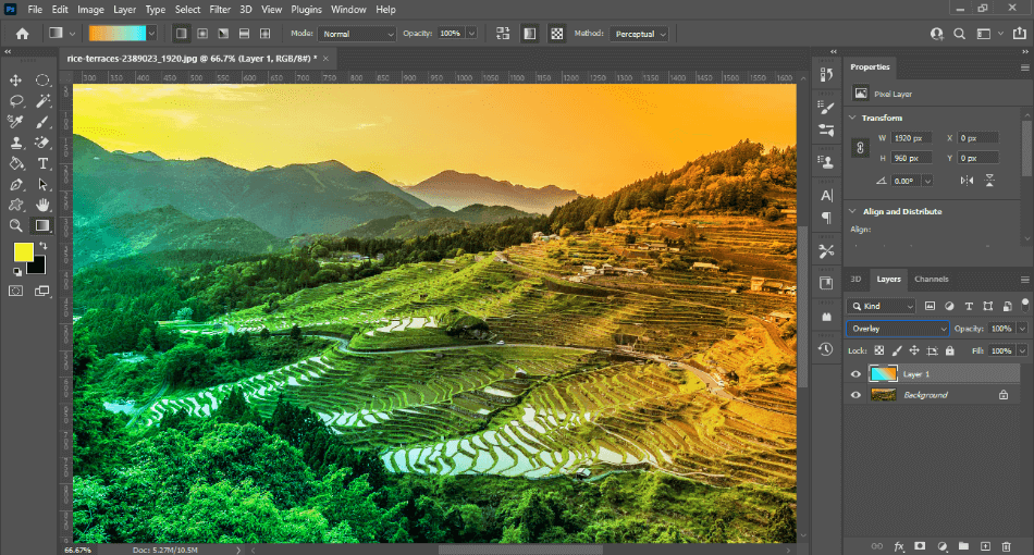 Photoshop landscape with gradient color