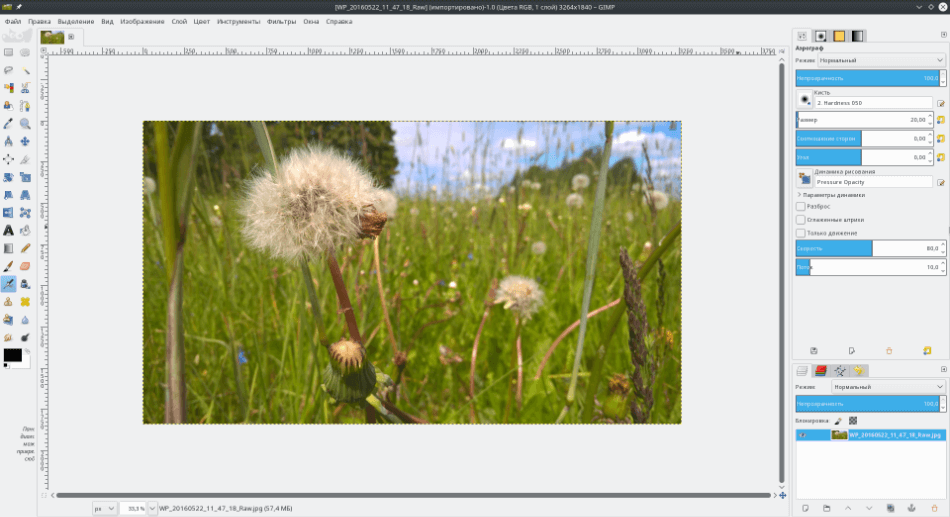 GIMP interface with flowers