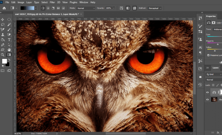 Photoshop CC color balancing close up of owl 1