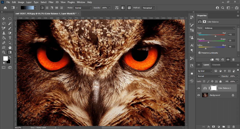 Photoshop CC color balancing close up of owl