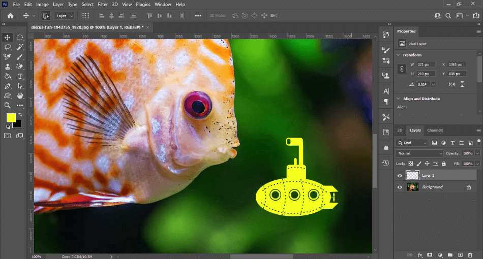 Photoshop CC with fish and yellow submarine