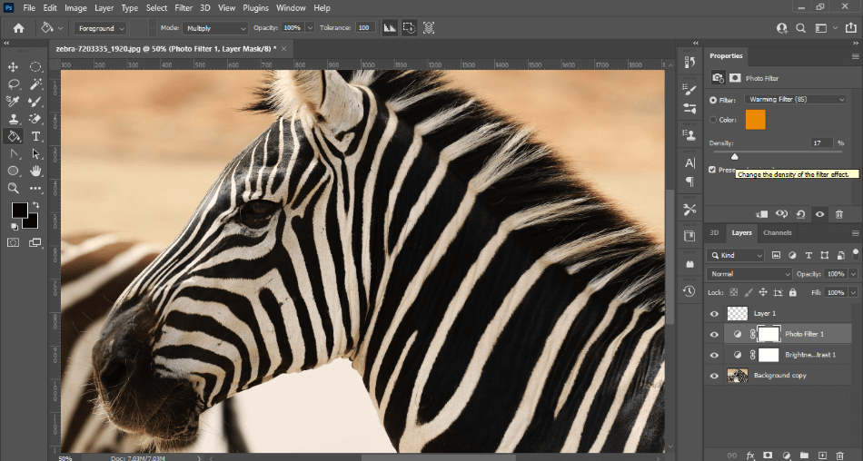 Photoshop adding adjustment layers to photo of zebra