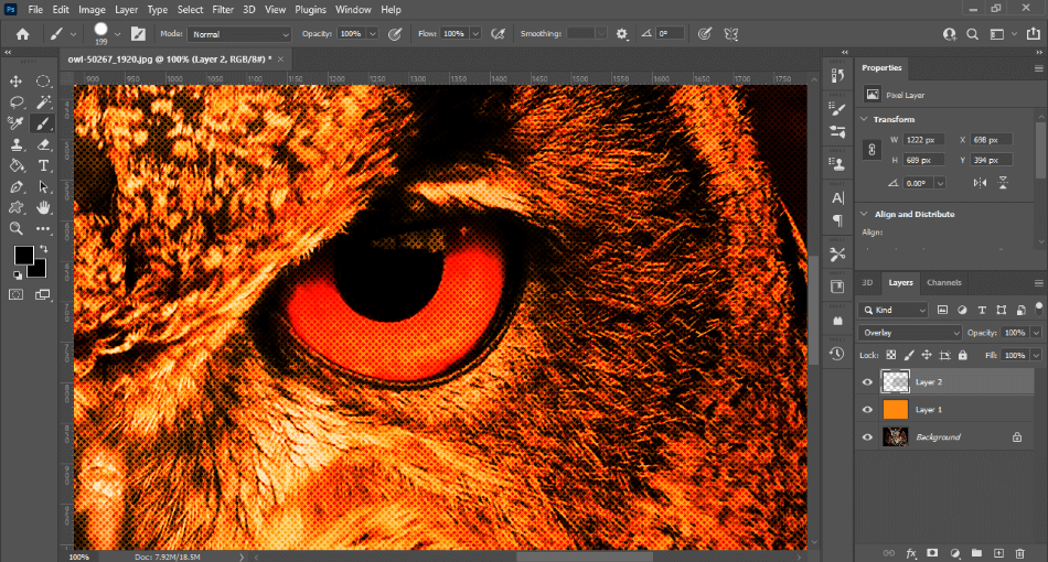 Photoshop adding dots to close up of owl