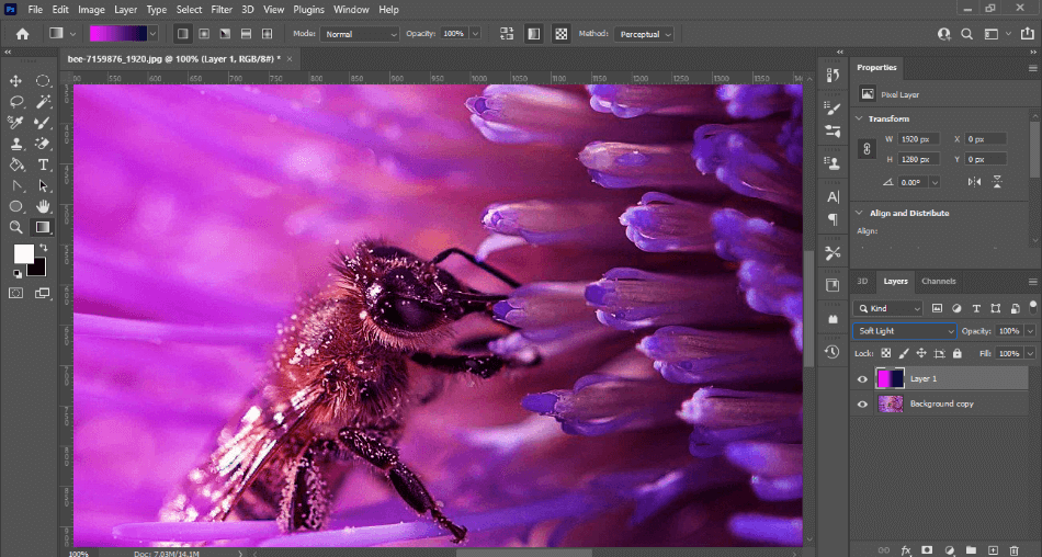 Photoshop adding gradient to photo of bee