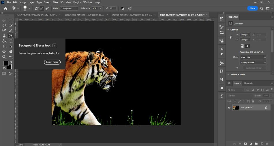 Photoshop BG Erase Background Eraser on tiger photo