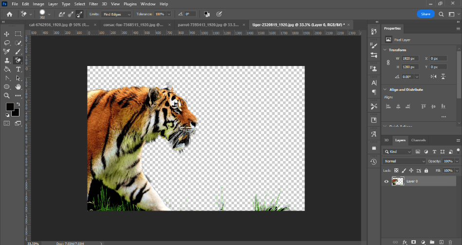 Photoshop BG Erase Background Eraser on tiger photo transparent