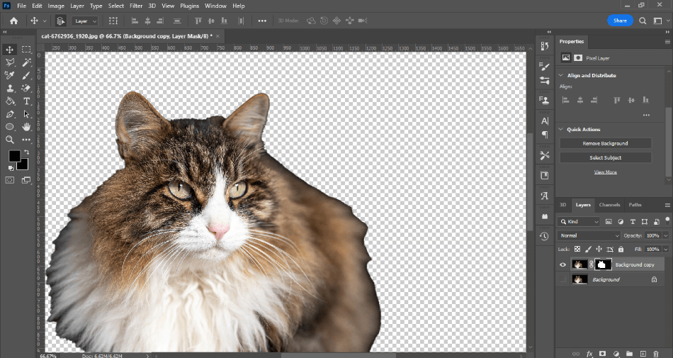 Photoshop BG cat with no background