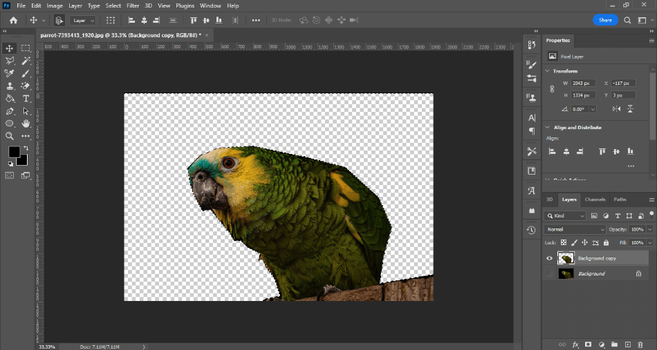 Photoshop BG magnetic lasso on image of bird with no background