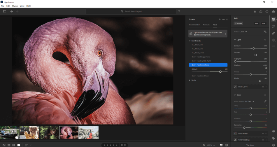 LightroomCC applying preset to photo of flamingo