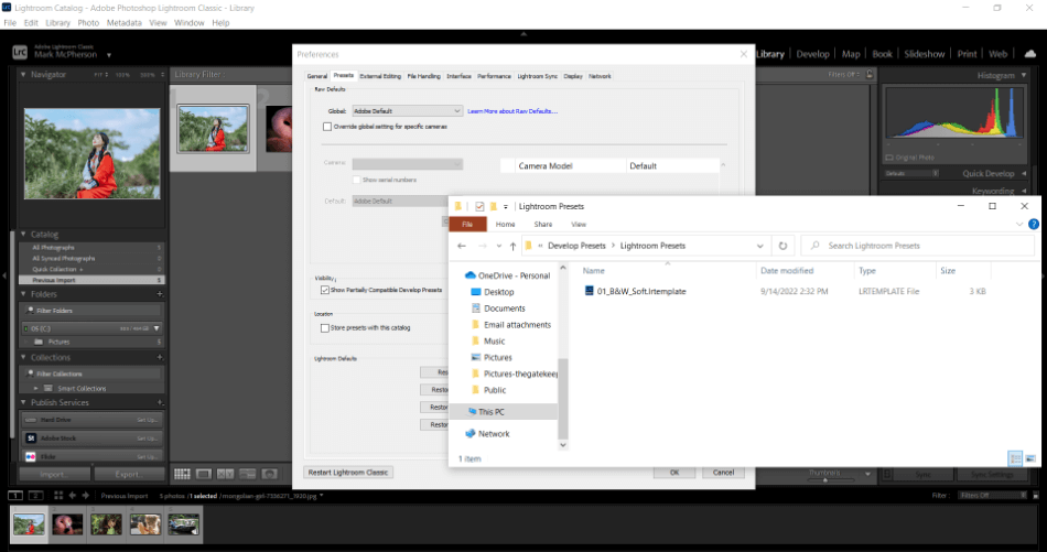 How to Install Lightroom Presets A StepbyStep Guide