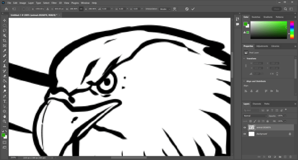 Photoshop Rasterized eagle showing pixels 1